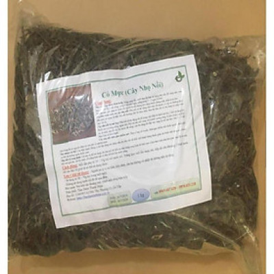 Cây Nhọ Nồi Khô / Cây Cỏ Mực Khô