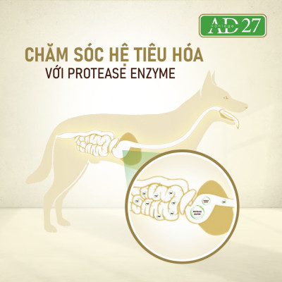 Thức ăn dinh dưỡng dành cho chó ANF AD27 500gram