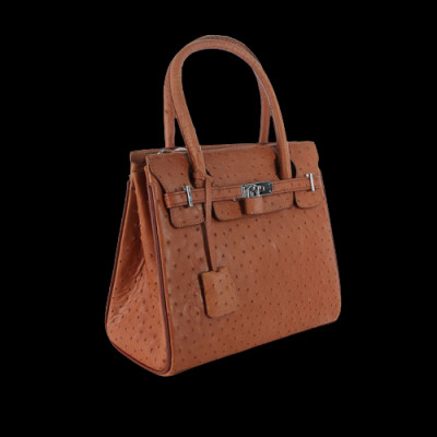 HP6437-38-39-40 - Túi xách da đà điểu Huy Hoàng cao cấp màu đen, nâu đất, vàng bò, nâu đỏ