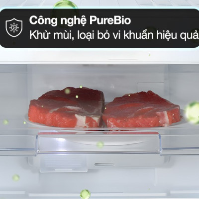 Tủ lạnh Toshiba Inverter 233 lít GR-RT303WE-PMV(52) - Hàng Chính Hãng (Chỉ giao HCM) 