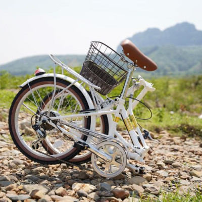 Xe đạp gấp CALLI Q3