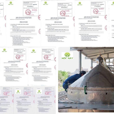 Tinh dầu Bạch Đàn Chanh 10ml Mộc Mây - tinh dầu thiên nhiên nguyên chất 100% - chất lượng và mùi hương vượt trội - Có kiểm định