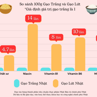 GẠO LỨT NHẬT HOKKAIDO NANATSUBOSHI