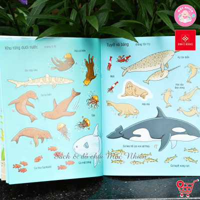 Sách - First Sticker Book - Sách dán hình đầu đời cho bé (Nhiều chủ đề) - Đinh Tị Books