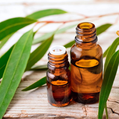 Tinh dầu Khuynh Diệp (bạch đàn) 50ml nguyên chất từ thiên nhiên - KingOil