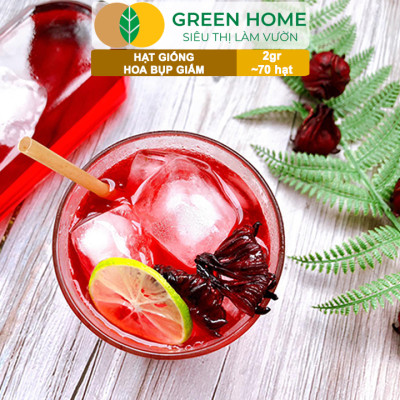 Hạt Giống Atiso Đỏ (Bụp Giấm) Greenhome, Gói 2gr~70 hạt, Dễ Trồng, Thu Hoạch Nhanh, Năng Suất Cao T20