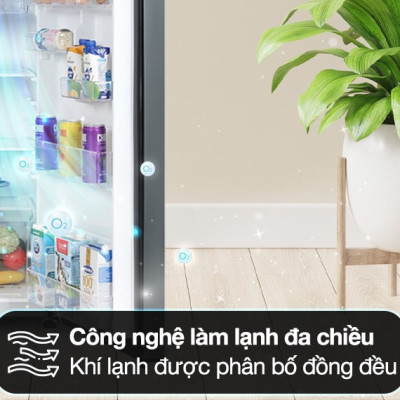 Tủ lạnh Toshiba Inverter 233 lít GR-RT303WE-PMV(52) - Hàng Chính Hãng (Chỉ giao HCM) 