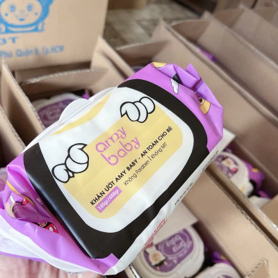 Khăn Giấy Ướt Cao Cấp Kháng Khuẩn, Không Mùi 650G