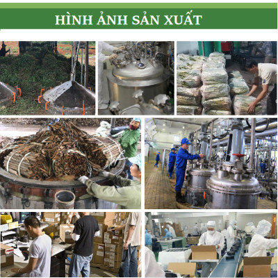 Tinh dầu Vỏ Cam ngọt nguyên chất 100% từ thiên nhiên, thơm phòng, xông phòng, đuổi muỗi, khử mùi - KingOil