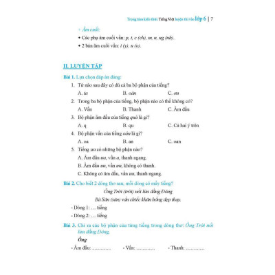Sách - Trọng Tâm Kiến Thức Tiếng Việt - Luyện Thi Vào Lớp 6 - Có Đáp Án - Combo 2 Tập - Minh Thắng