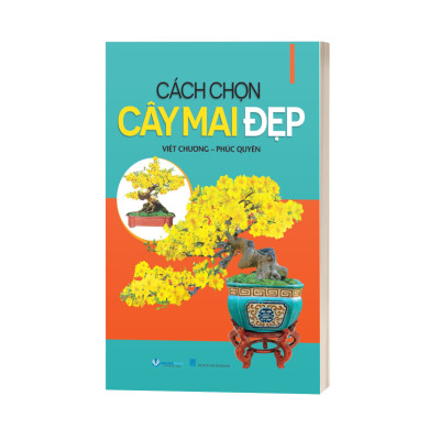 Cách Chọn Cây Mai Đẹp