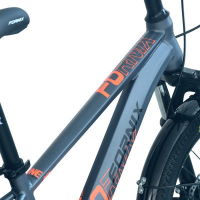 Xe Đạp Địa Hình Trẻ Em MX20 - FORNIX-Vòng Bánh 20"- Dành Cho Bé Từ 5 Tuổi Trở Lên - Bảo Hành 12 Tháng