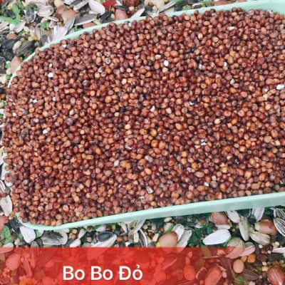 Hạt Bobo (Ý Dĩ) đỏ Sức Khỏe Xanh, Túi 500g nhập khẩu từ Ấn Độ