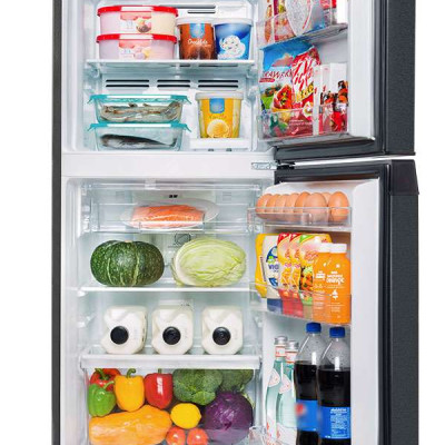 TỦ LẠNH TOSHIBA GR-RT252WE-PMV(52) 194 Lít - hàng chính hãng - chỉ giao HCM