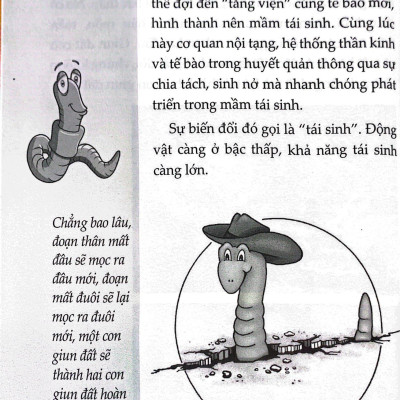 10 Vạn Câu Hỏi Vì Sao? - Động Vật (Tái Bản 2023)