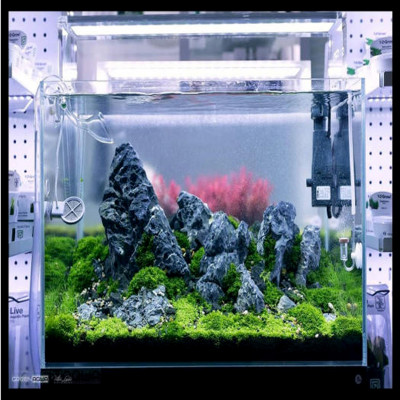 10KG Đá Kẹp Kem Thủy Sinh (Size 4-25cm) | Trang Trí Bể Cá, Non Bộ May Mắn