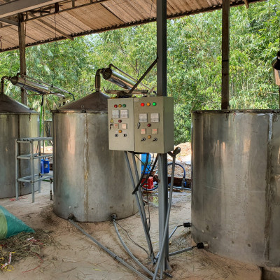 Tinh dầu Bưởi Chùm (bưởi Hồng, bưởi Úc) 50ml Mộc Mây - tinh dầu thiên nhiên nguyên chất 100% - chất lượng và mùi hương vượt trội