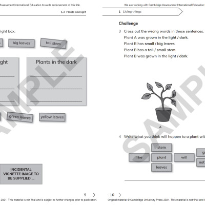 Cambridge Primary Science Workbook 1 With Digital Access (1 Year) 2nd Edition