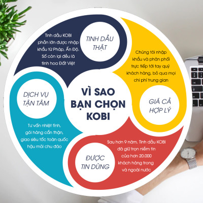 Combo 3 Tinh Dầu Kobi Nhập Khẩu Ấn Độ: Tinh Dầu Oải Hương (30ml) + Tinh Dầu Cam Ngọt (30ml) + Tinh Dầu Vỏ Quế (30ml) - Tinh Dầu Thiên Nhiên Nguyên Chất, Tinh Dầu Xông Phòng