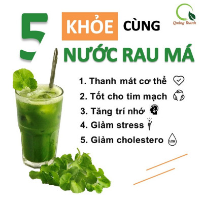 Rau Má Uống Liền Sấy Lạnh Nguyên Chất Hộp 6 Tuýp - Mát gan, detox, giảm mụn, giảm cân, giải nhiệt