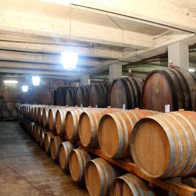 Rượu vang Ý ABVNDANTIA Negroamaro I.G.P Puglia (Italia) kèm túi hộp,đồ khui 