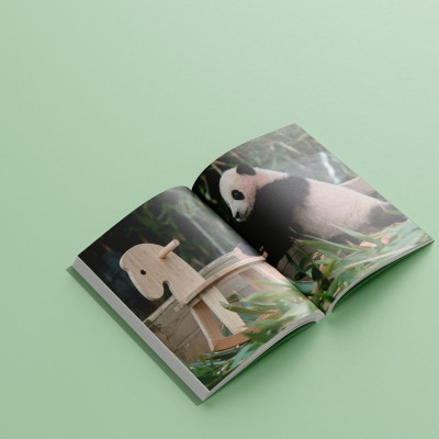 Sách - Nhật Ký Hạnh Phúc Của Công Chúa Fubao - AZ Việt Nam