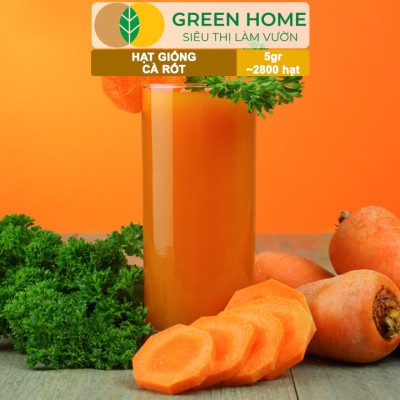 Hạt Giống Cà Rốt GreenHome, Gói 5g~2800 hạt, Dễ Trồng Quanh Năm, Củ To, Dài, Sinh Trưởng Khỏe T40