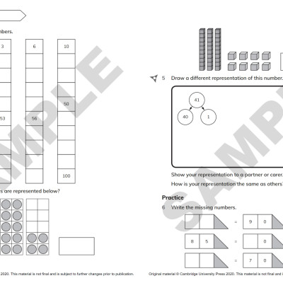 Cambridge Primary Mathematics Workbook 2 With Digital Access (1 Year) 2nd Edition