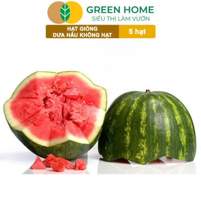 Hạt Giống Dưa Hấu Không Hạt Lai F1 Greenhome, Gói 5 Hạt, Dễ Trồng Quanh Năm, Nảy Mầm Cao, T27