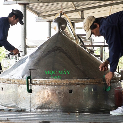 Tinh dầu Sả Chanh Mộc Mây - Xuất khẩu Châu Âu, nguyên chất 100% từ thiên nhiên, xông phòng, khử mùi, thơm phòng, đuổi muỗi, thư giản