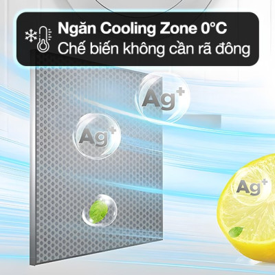 Tủ lạnh Toshiba Inverter 233 lít GR-RT303WE-PMV(52) - Hàng Chính Hãng (Chỉ giao HCM) 