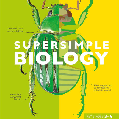 Super Simple Biology: The Ultimate Bitesize Study Guide